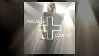 FREE 2hollis Loop Kit - Promise (2hollis, The Hellp, Bladee, Ken Carson, Hyperpop Loop Kit 2024)