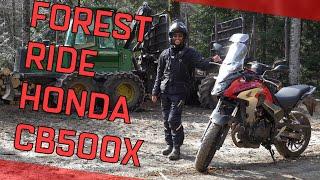 Forest ride on the Honda CB500X - Vlog 007