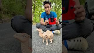 Rc Remote Control Camel Unboxing