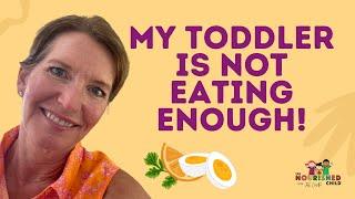 Toddler NOT Eating Enough | How to Get Toddlers to Eat without Pushing More Food