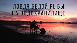 АКТИВНЫЙ КЛЕВ РЫБЫ НА ВОДОХРАНИЛИЩЕ.. ЛОВЛЯ С НОЧЕВОЙ И ПОДВОДНЫЕ СЬЕМКИ..