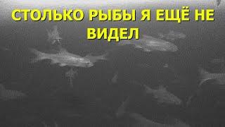 Рыбалка на Севере. Озеро забито рыбой! Такое я еще не видел! В поисках трофея на Севере.