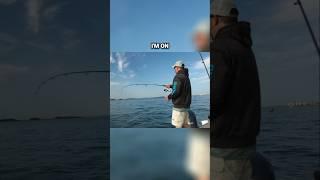 Catching Striped Bass at Boston Harbor: A Full Guide!