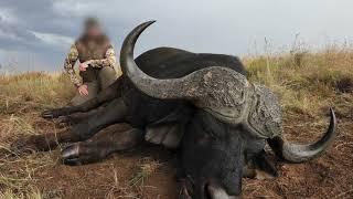 MONSTER BUFFALO hunted with Gotsoma Safaris www.gotsoma.co.za Big Buffalo Hunting Big 5 Hunting