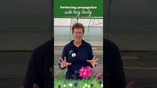 Perfecting propagation with Rosy Hardy | BBC Gardeners' World Spring Fair 2024