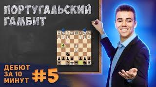 Лучший Гамбит против 1. е4?! | Дебют за 10 минут #5