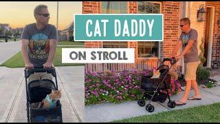 Cat Daddy on Stroll