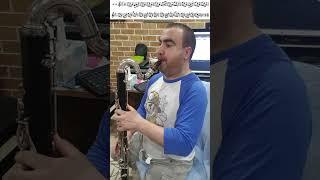 Sellner - Oboe Etude VII/2 (on Bass Clarinet)
