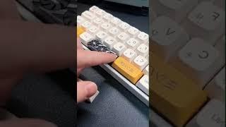 Do you know what is that 
