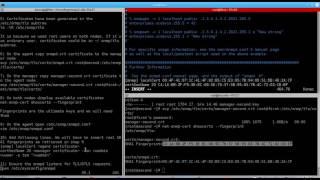 Quick setup of SNMP v3 DTLS/TLS access in CentOS/RHEL 7 Linux - net-snmp