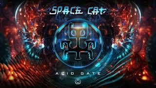 Space Cat - Acid Gate - Official