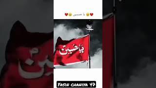 ali Wale 72