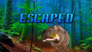 Escape Game Save The Hippo | Video Walkthrough | WowEscape