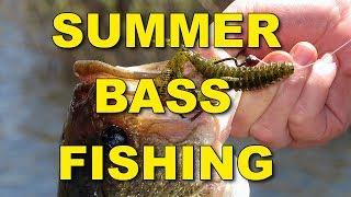 Summer Bass Fishing Techniques and Tips | Bass Fishing