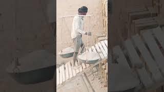 Sher Khud #apni takat se# Raja kahlata hai...