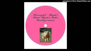 Horsegiirl - Shanti's Barn Shanti's Rules (Bootleg Remix)