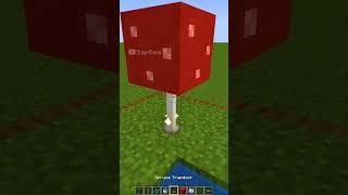 cool little biome #minecraft #shorts #meme