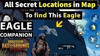 All Secret Pubg Eagle location | Unlocked EAGLE COMPANION Title in Pubg Mobile