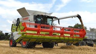 Nowy Nabytek w Gr Berlak!Claas Trion 650Żniwa JęczmieniaAgro SznajderAgro Wlkp