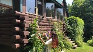 Mullein - A Walk in the Garden with Herbalist Rosemary Gladstar