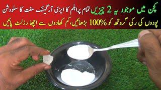 Organic fertilizer for plants|organic fertilizers