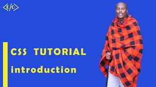 1: Introduction to CSS | CSS Tutorial For Beginners | CSS Full Course | Effortless Coding