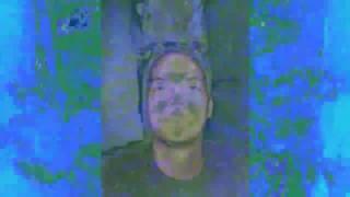 Mattrax Lab "Forest Part 1"