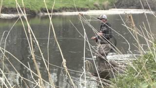 Fly Fishing the Borders for Wild Brown Trout (The Big Fish) with Tony Donnelly