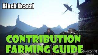 [Black Desert] How to Farm Contribution Points | Duvencrune Daily Rotation