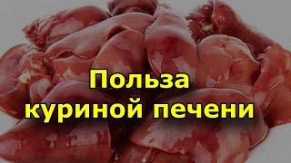 Польза куриной печени. Состав куриной печени