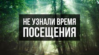 Не узнали время посещения || Пинкевич В.П.