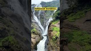 Dudhsagar Waterfall in Goa | Dudhsagar fall | Goa Vlog | Dudhsagar 2025 | #goa #shorts #travel