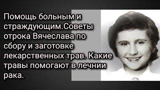 Помощь больным. Советы отрока Вячеслава по сбору и заготовке лекарств. трав.От Рака можно исцелиться