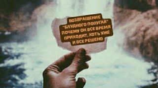 ВОЗВРАЩЕНИЕ "БЛУДНОГО ПОПУГАЯ" ПОЧЕМУ ОН ВСЕ ВРЕМЯ ПРИХОДИТ, ХОТЬ УЖЕ И ВСЕ РЕШЕНО - (ОБЩИЙ)