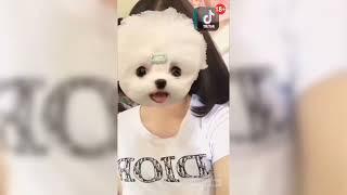 TikTok 18 || sexy challenge | hot girl | sexy tiktok 18+