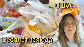  США: Бесплатная еда для семьи | Жизнь с нуля