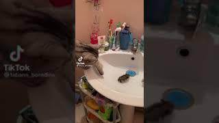 Так вкусненько, амнамнамочки