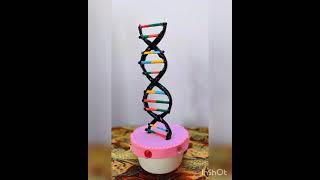 How To make DNA model#Biologyproject #Dnamodel #Shorts