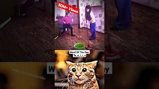 CHAD COT... #trending #memes |4K SHORTS | OHIO CAT BOMBASTIC