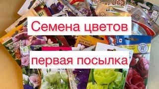 Семена цветов Первая посылка Что купила и буду сеять