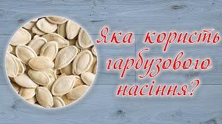 Корисні властивості гарбузового насіння