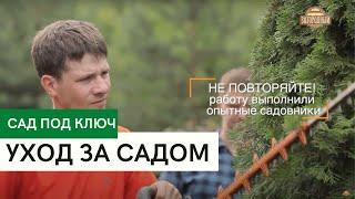 Уход за садом \  Как правильно ухаживать за садом? \ Сад под ключ