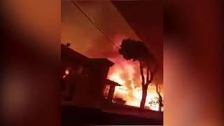 Hero Saves Cat but gets himself almost killed | Greek Wildfires 2018 | Tragedy