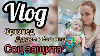 Ортопед СОЦ ЗАЩИТА.. И ДУРДОМ В ПОЛИКЛИНИКЕ Vlog 23.09.2024