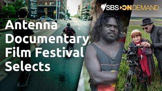 Antenna Documentary Film Festival Selects | SBS On Demand