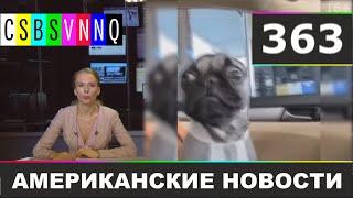 CSBSVNNQ - Американские новости #363 Выпуск от 09.09.2020