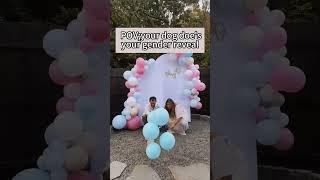 Gender levels with dogs#funny #dogvideos #dog #genderreveal