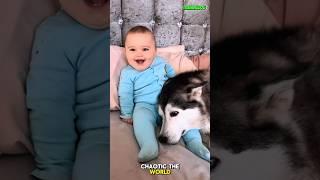  Silent Guardians of Childhood Dreams #k9 #puppy #dog #pets #dogtraining #doglife #husky