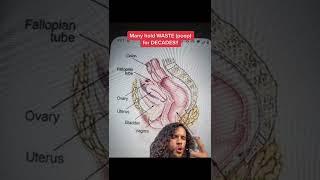 Reproductive problems start in the gut
