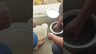 marek's making process | layer poultry farm | one day old chicks |#agrofarm #vaccine #agrofarming